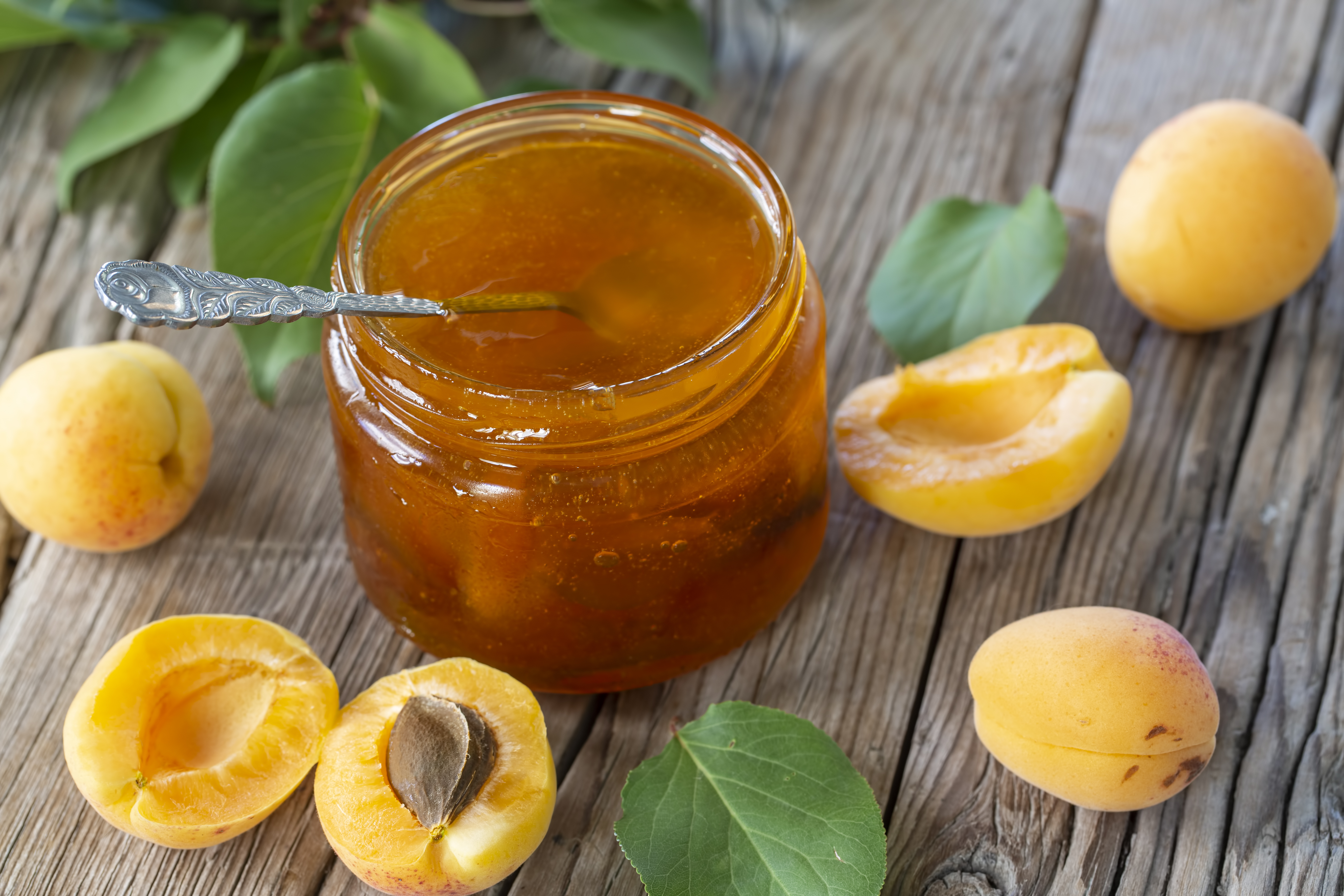 Apricot Spread Hover